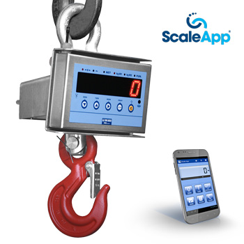 ScaleApp_example